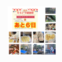 昨日に引き続き来週の感謝祭の準備と 賑やかに卓球にハマる子どもたち ラリーが続いて盛り上がり ダブルスでは協力、励まし合い 負けたら再チャレンジを挑み ピンポン球の音も心地よく 卓球が新たなキミテラのスポーツになり始めてます 感謝祭はどなたでもご参加いただけますので是非お越しくださいね♪ #キミノみらいテラス #フリースクール #守口市 #不登校支援 #守口フリースクール #寝屋川フリースクール #大阪フリースクール #居場所づくり #フリースクール #子育てに悩む親 #小学生不登校 #中学生不登校 #キャリア教育 #キャリアデザイン