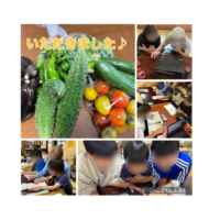 今日はキャリアの時間に体を動かしました
